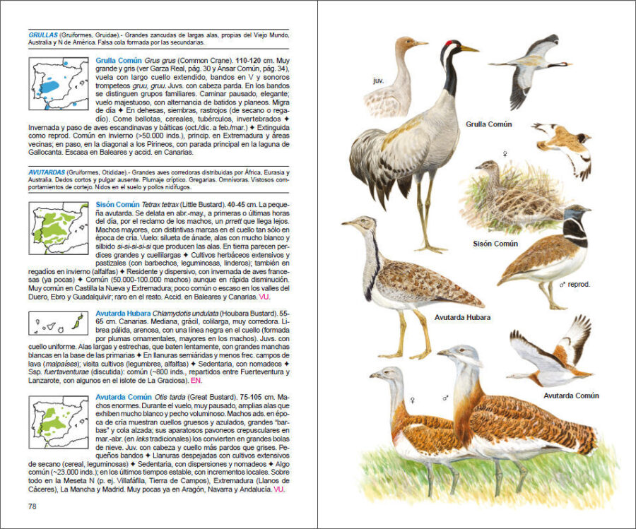 Página de muestra de Aves de España